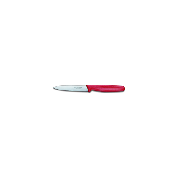 Paring Knife 10 cm
