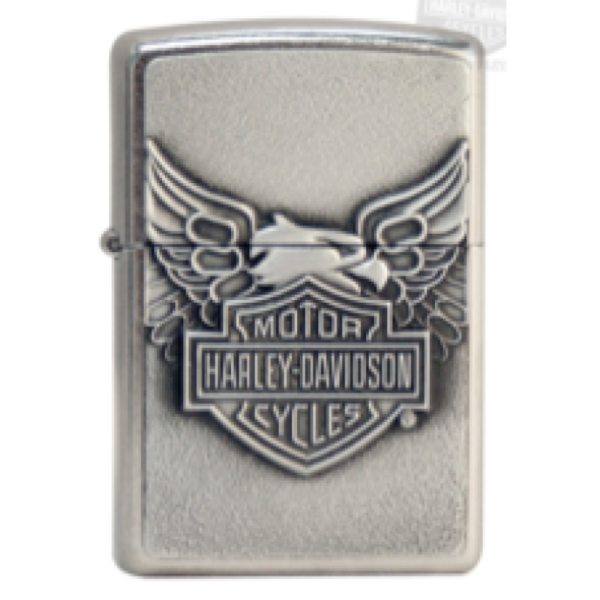H-D IRON EAGLE