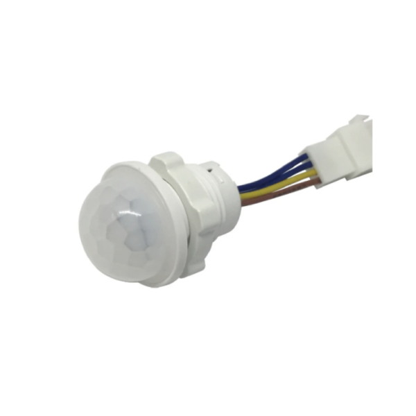 Motion Sensor