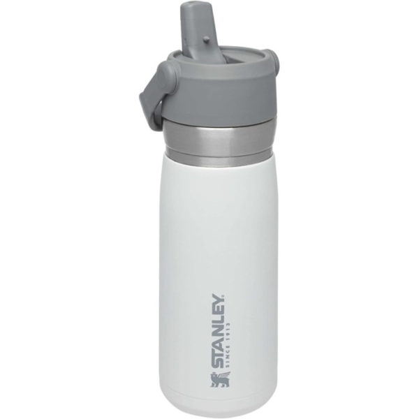 STAN 0.65L STRAW WTR B
