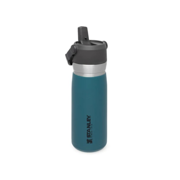 STAN 0.65L STRAW WTR B