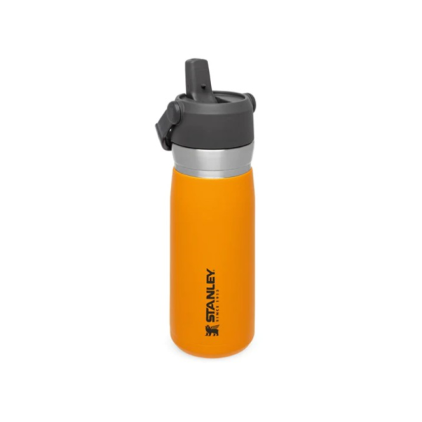 STAN 0.65L STRAW WTR B