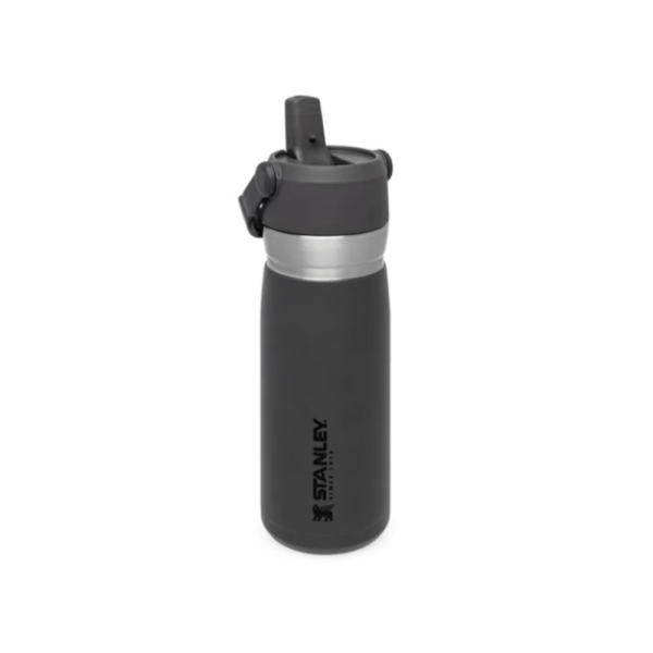 STAN 0.65L STRAW WTR C