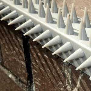 Spikes